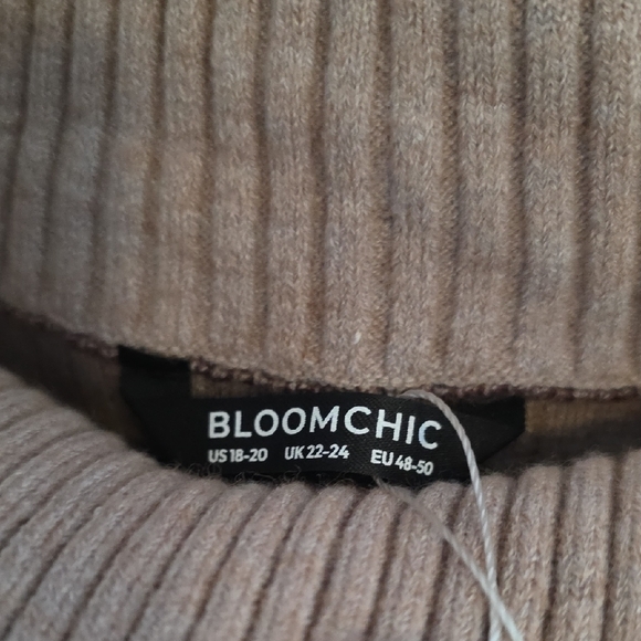 BloomChic Ribbed Brown and Cream Cowl Neck Sweater - Picture 3 of 4